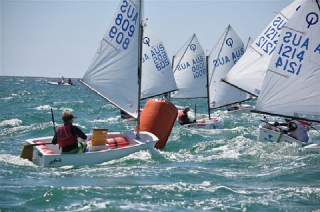 Sam Magarey AUS 809 - SA State Optimist Championships 2013 © Andrew Meaney